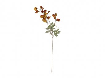 AK.JZ0010-VTALE BEZELYE E YELLOW BROWN BEZAY EK 25*